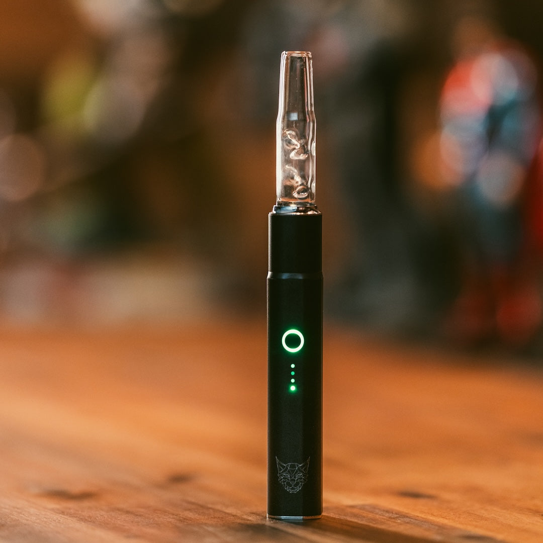 Vaporizer