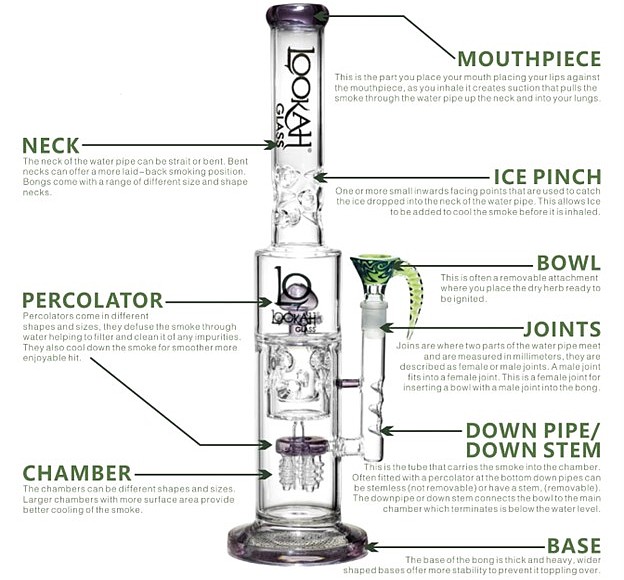 Glass bong cutaway illustration: percolation chambers & airflow explained