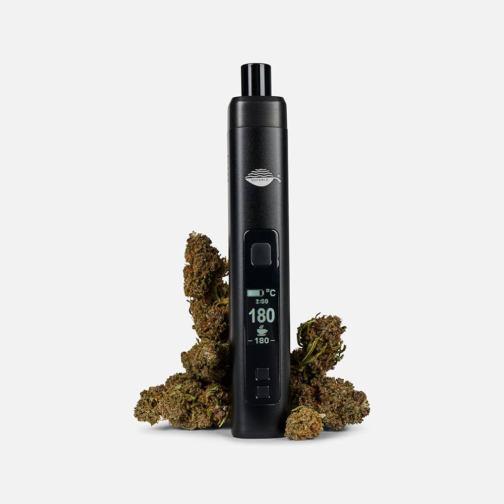 vaporizer